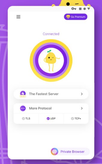 potato-vpn-premium-mod-apk